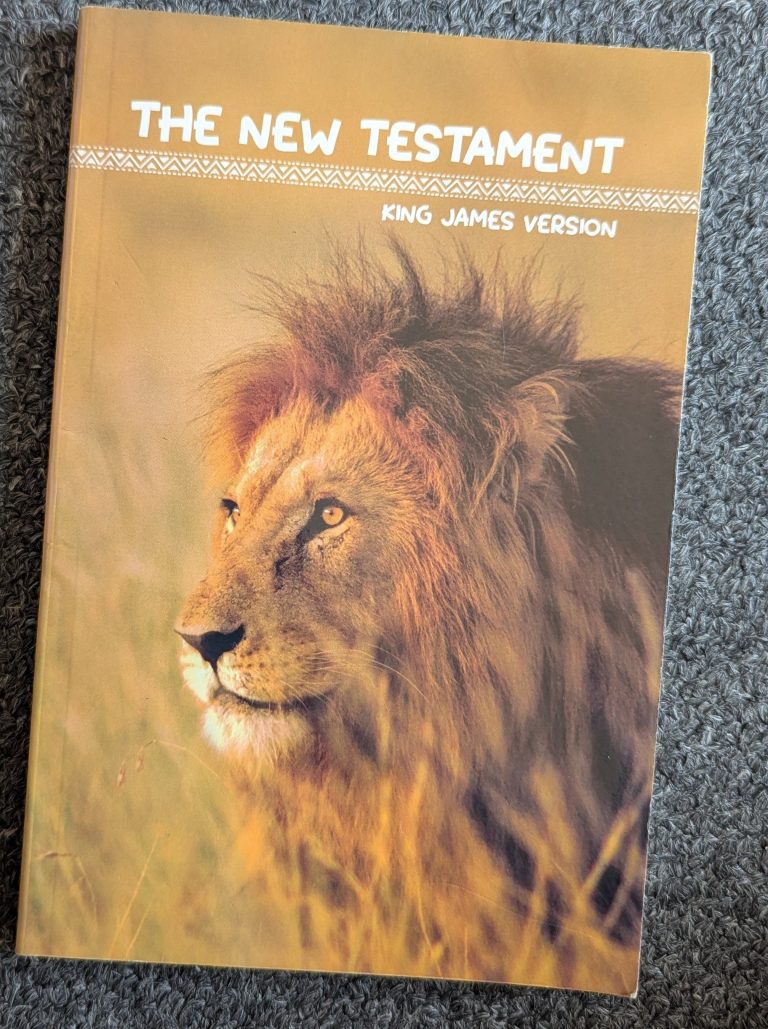 The New Testament  king James version
